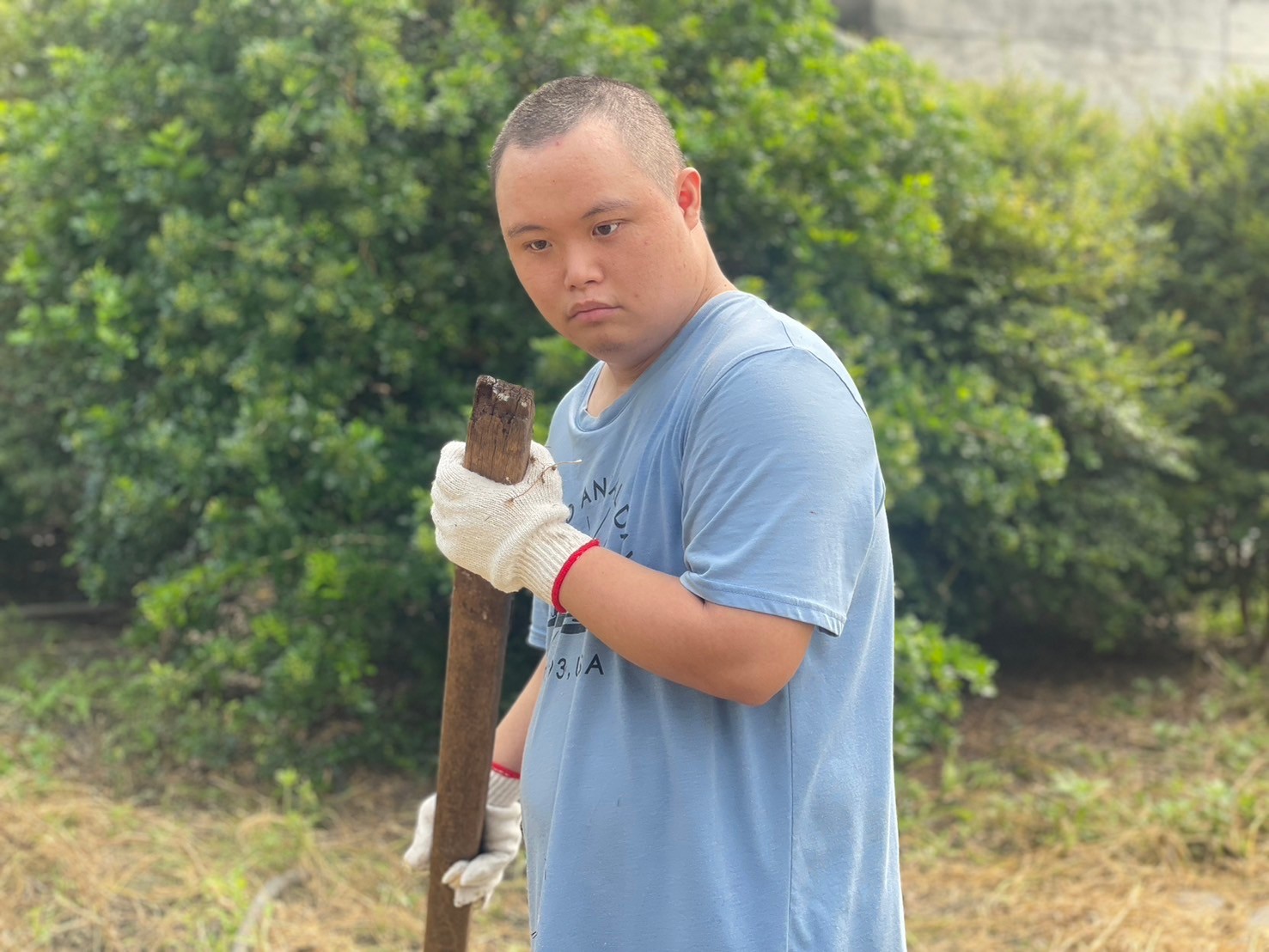農園藝(整地)