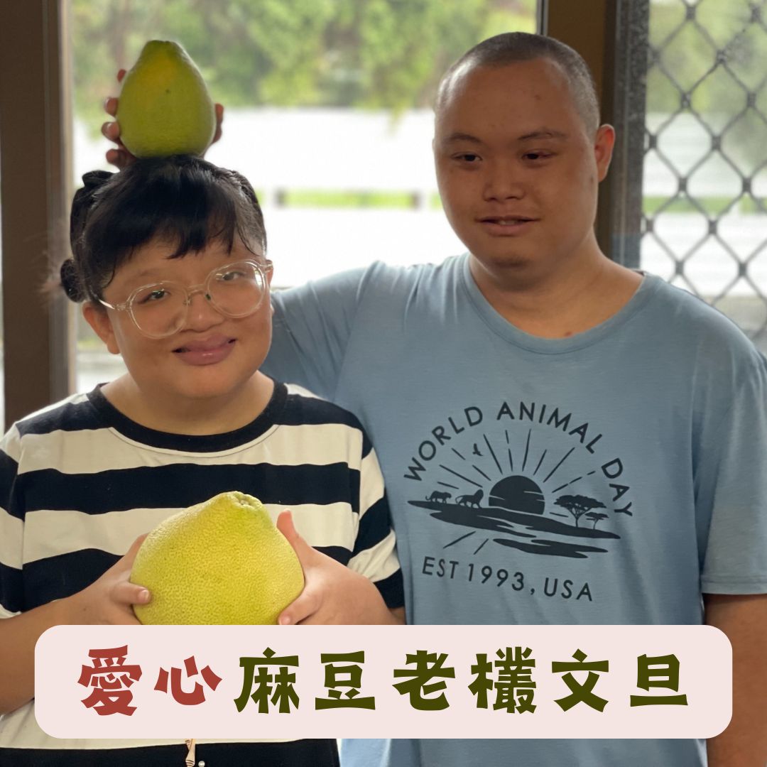 台南麻豆文旦代言人(113/8/29)(標題圖檔)